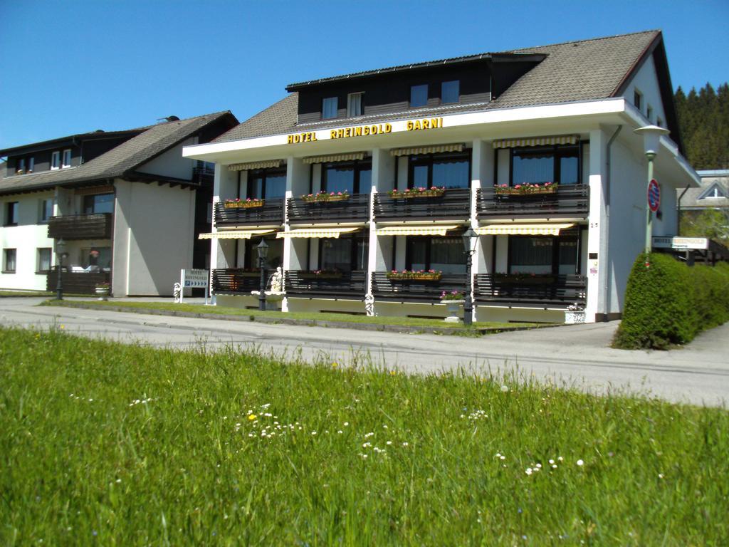 Hotel Rheingold Garni Titisee-Neustadt Exterior photo